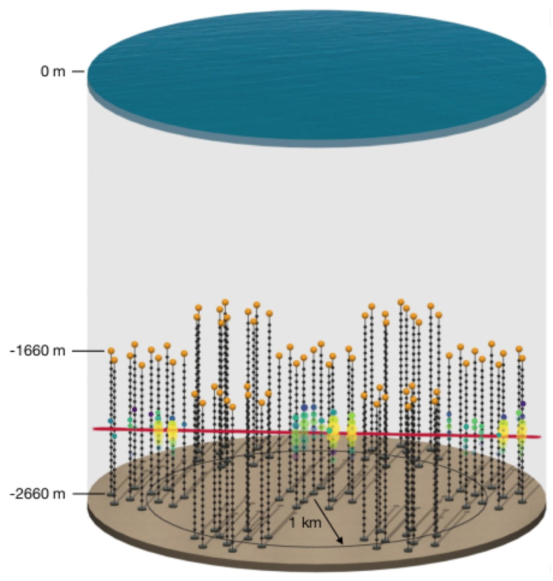 P-ONE detector concept